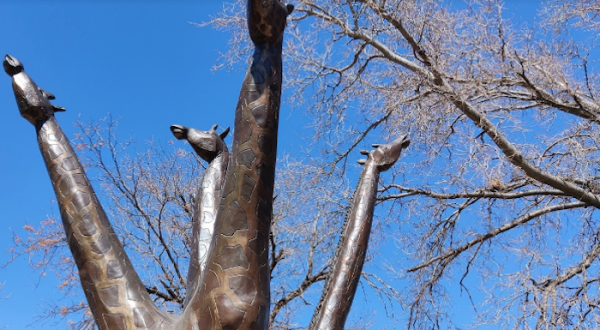 The Bradford Rhea Tree Sculptures May Just Be One Of The Coolest Things We Have Ever Seen In Colorado