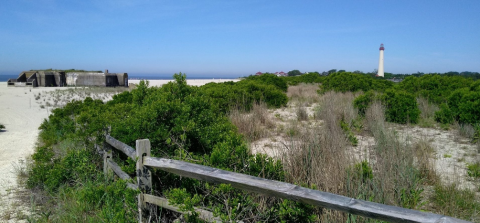 These Are The 7 Gorgeous Beach Hikes You Need To Take In New Jersey This Summer