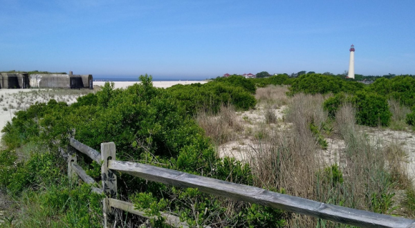 These Are The 7 Gorgeous Beach Hikes You Need To Take In New Jersey This Summer