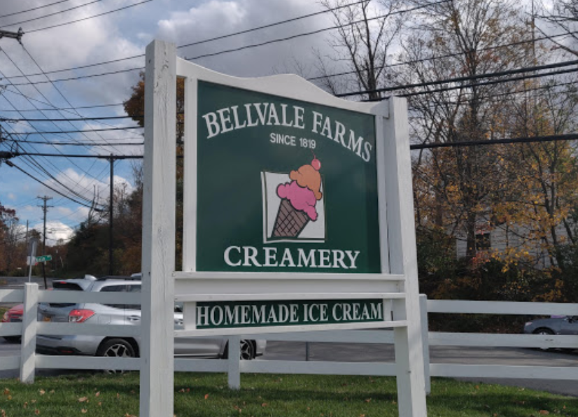Jersey Cows - Bellvale Farms