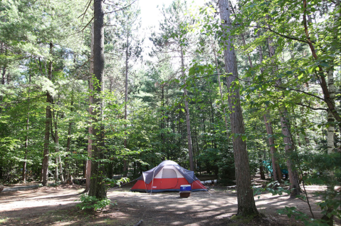 This Campground In New York Was Just Named One Of The Most Beautiful In The Country
