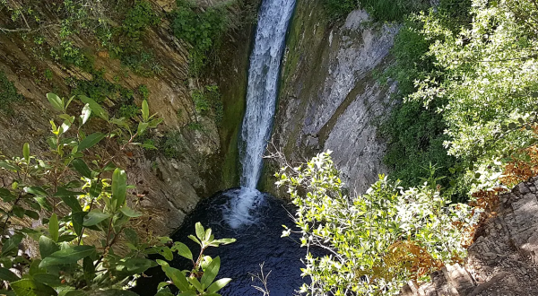 See The Tallest Waterfall In Southern California At Forest Falls
