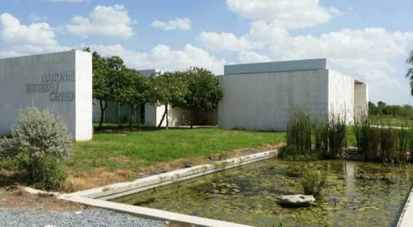 Spend A Magical Afternoon At The National Butterfly Center, Texas’ Largest Butterfly House