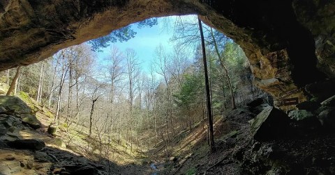 Flowers, Caves, And Creeks Decorate This Beautiful Hiking Trail In Kentucky