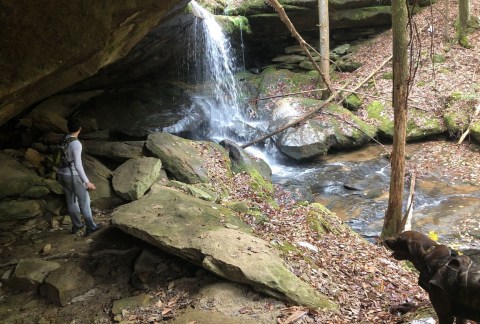 This Is The Least Congested Trail In Alabama And You'll Want To Hike It