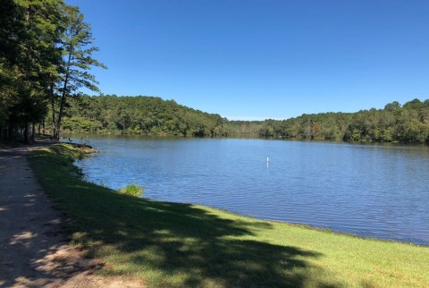 Wander Along A Hidden Turquoise Lake On The Underrated Ed Lisenby Lake Trail In Alabama