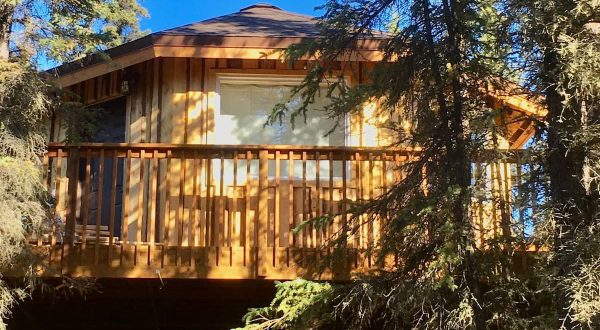 Stay Overnight At This Spectacularly Unconventional Treehouse In Alaska