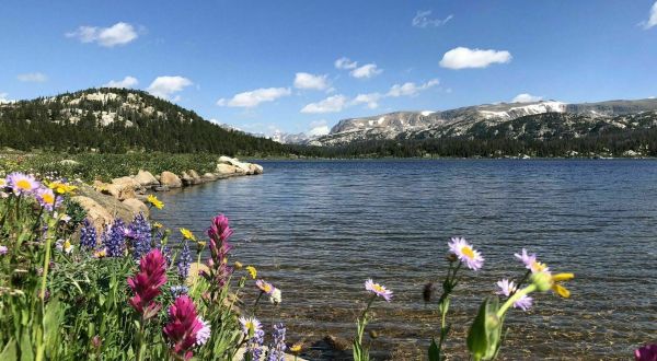 Take An Easy Loop Trail Past Some Of The Prettiest Scenery In Wyoming On The Island And Night Lakes Trail