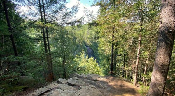 OK Slip Falls Trail Is A Gorgeous Forest Trail In New York That Will Take You To A Hidden Overlook