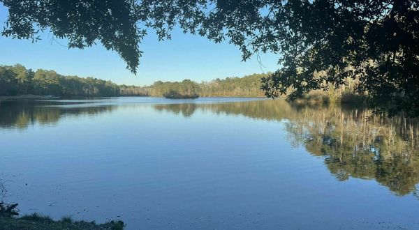 Take An Easy Loop Trail Past Some Of The Prettiest Scenery In South Carolina On Loop Road Trail