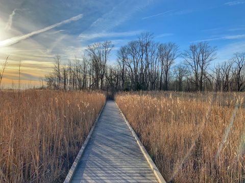 Bombay Hook Boardwalk Trail Is An Easy Hike In Delaware That Takes You To An Unforgettable View