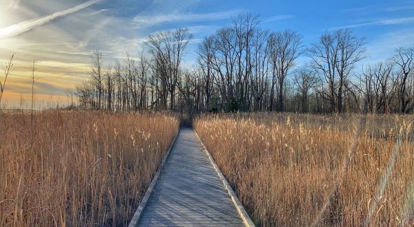 Bombay Hook Boardwalk Trail Is An Easy Hike In Delaware That Takes You To An Unforgettable View