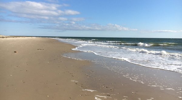 An Unspoiled Beach On The Chesapeake Bay, Grandview Nature Preserve Is Virginia Nature At Its Finest