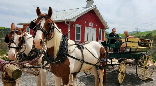 Take A Carriage Ride Through The Mountains For A Truly Unique Georgia Experience