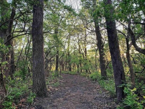 Cross A Rope Bridge, Visit A Historic School, And Walk Among 40 Varieties Of Plants On This Trail In Kansas