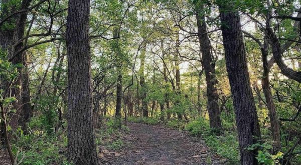 Cross A Rope Bridge, Visit A Historic School, And Walk Among 40 Varieties Of Plants On This Trail In Kansas