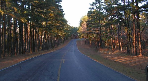 Explore The Fantastical Forest At Sequoyah State Park In Oklahoma