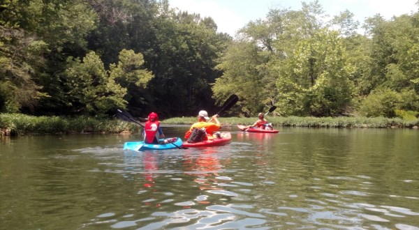 Rent Kayaks At Alabama’s Redneck Yacht Club For The Ultimate Summer Adventure