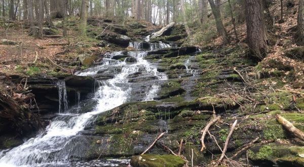 You’ll Love Digging For Garnets At The Unique Salmon River State Forest In Connecticut