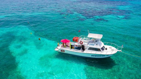 6 Snorkeling Tours In Florida That Will Level Up Your Summer Adventures
