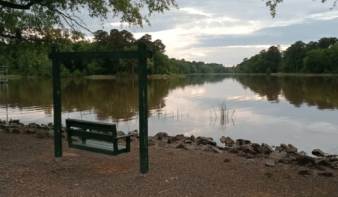 Fishing And Wildlife Watching Await At This Underrated Arkansas State Park