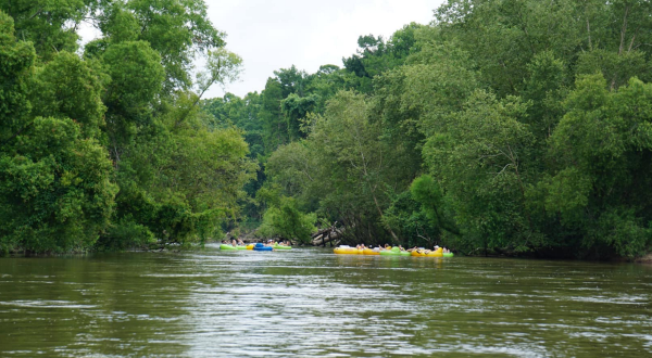 Take The Longest Float Trip In Louisiana This Summer On The Bogue Chitto River