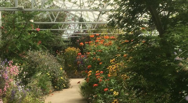The Largest Butterfly House In Idaho Is A Magical Way To Spend An Afternoon