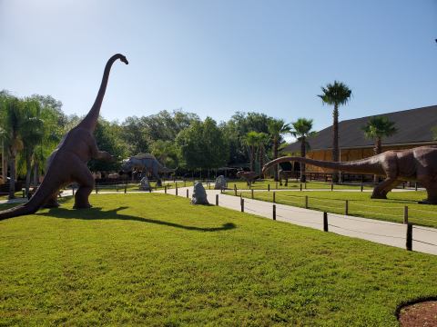 There’s A Dinosaur Themed Playground In Florida Called Dinosaur World