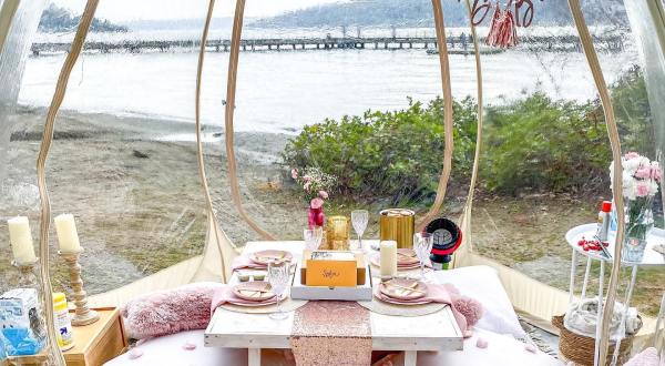 Enjoy A Posh Picnic In Washington This Summer With These Pop-Up Picnic Rentals