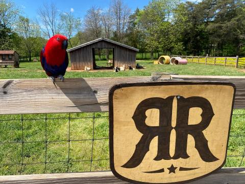 Tour North Carolina's Rescue Ranch For Animal Encounters With Critters From A Variety Of Species
