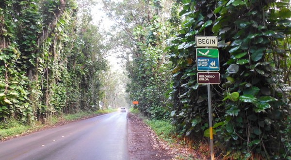 Hop In Your Car And Take Holo Holo Koloa Scenic Byway For An Incredible 19.5-Mile Scenic Drive In Hawaii