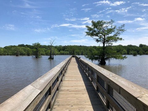 Chicot State Park Is The Single Best State Park In Louisiana And It's Just Waiting To Be Explored