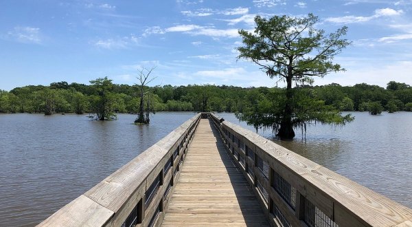 Chicot State Park Is The Single Best State Park In Louisiana And It’s Just Waiting To Be Explored