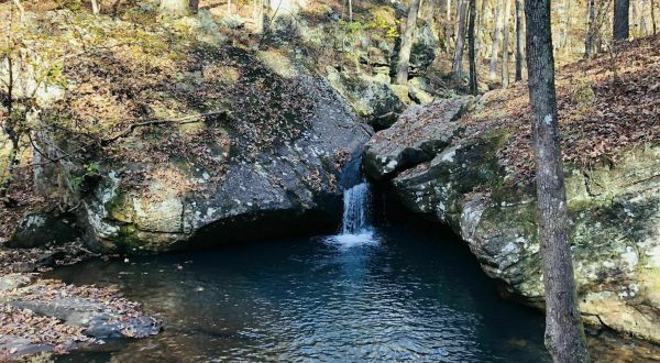 Adventure And Natural Beauty Await At Arkansas’ Fern Gully Scenic Area