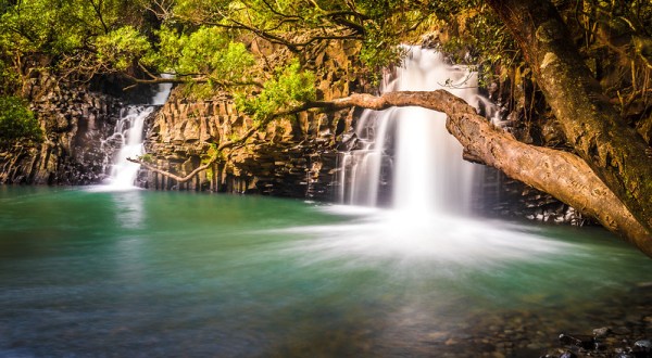 Hike Less Than A Mile To This Spectacular Waterfall Swimming Hole In Hawaii