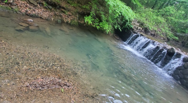 Bard Springs Recreation Area Is One Of The Most Underrated Summer Destinations In Arkansas