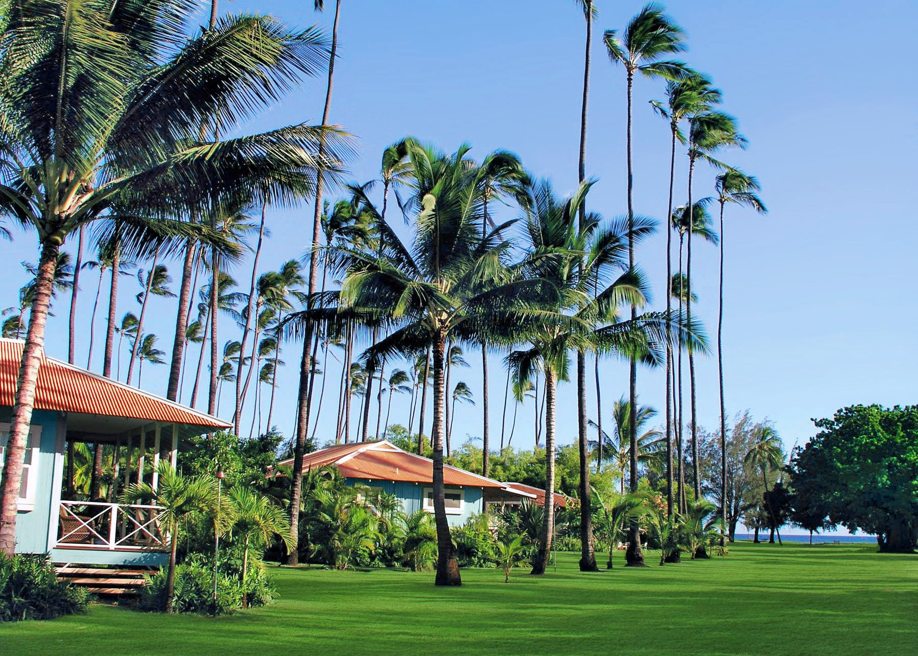 Hawaii banner image