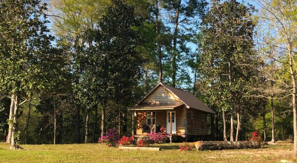 These Cabins Near Red Creek In Mississippi Let You Glamp In Style
