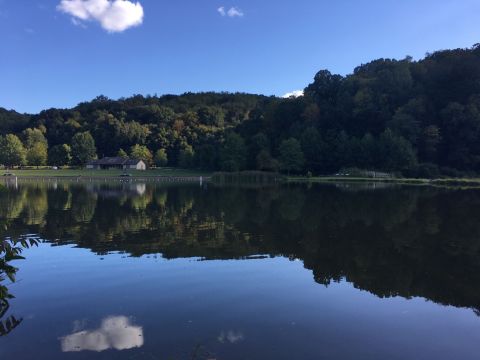 Forest & Lake Trail Loop Near Pittsburgh Leads To A Magnificent Hidden Oasis