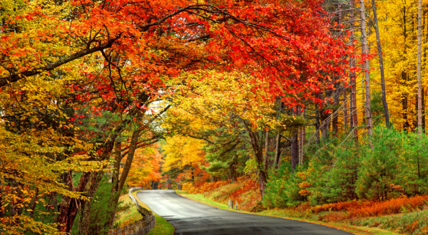 Hop In Your Car And Take The Central Hills Loop For An Incredible 57-Mile Scenic Drive In Massachusetts