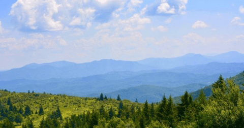 Grayson Highlands State Park Is Recognized As The Best State Park In Virginia And It's Hard To Disagree