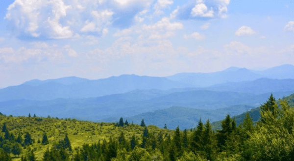 Grayson Highlands State Park Is Recognized As The Best State Park In Virginia And It’s Hard To Disagree