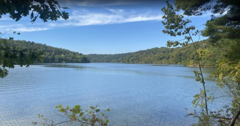 Salt Fork State Park Is The Single Best State Park In Ohio And It's Just Waiting To Be Explored