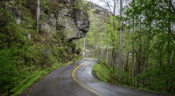 Hop In Your Car And Take Red River Gorge Scenic Byway For An Incredible 46-Mile Scenic Drive In Kentucky
