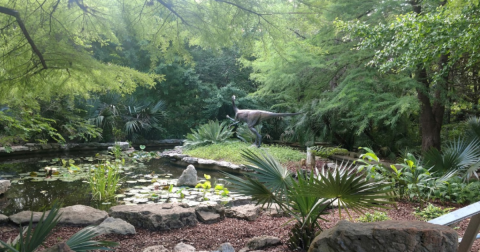 Zilker Botanical Garden Is A Lush, 28-Acre Oasis In The Heart Of Texas' Capital City