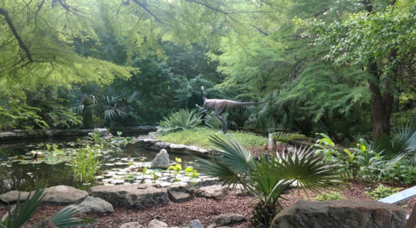 Zilker Botanical Garden Is A Lush, 28-Acre Oasis In The Heart Of Texas’ Capital City