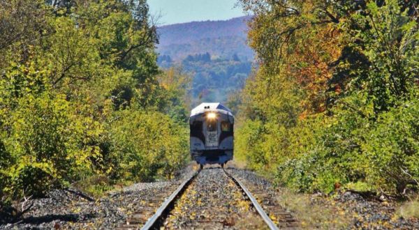 3 Incredible Massachusetts Day Trips You Can Take By Train