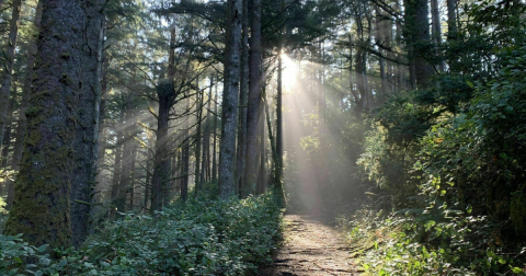This Easy Oregon Hike Is Straight Out Of A Fairy Tale