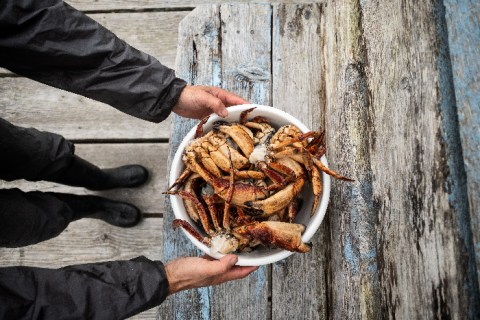 Fun Time Crabbing Is A One-Of-Kind New Jersey Boat Adventure That's Fun For The Whole Family