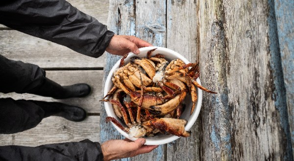 Fun Time Crabbing Is A One-Of-Kind New Jersey Boat Adventure That’s Fun For The Whole Family